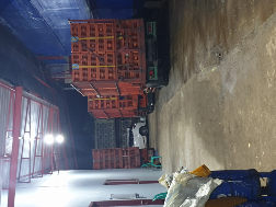 Supplier Ayam Broiler