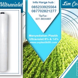 Plastik UV Berguna Untuk Pengeringan Padi