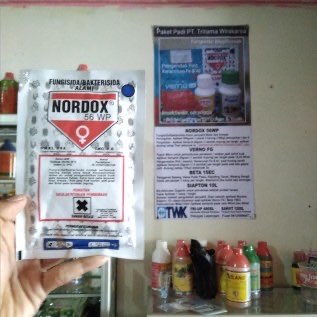 Nordox 56 WP Pengendali Blast Hawar Kresek 