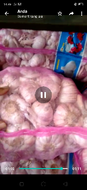 distributor bawang merah Brebes,bawang putih kating/biasa kwalitas no 1