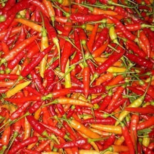 Jual Cabai Keriting Murah
