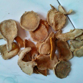 Jual Temulawak Kuning
