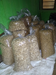 rajangan kering