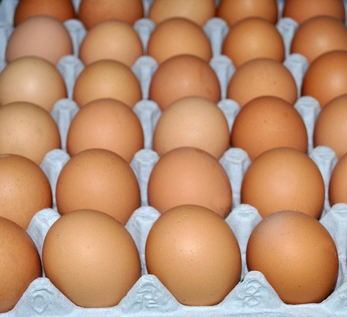 Telur Ayam Fresh