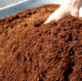 Coco Peat