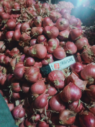 Bawang merah enrekang