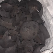 Ready 40 Ton arang batok kelapa mati hampa