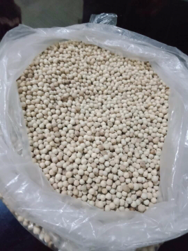 Lada Putih (Pepper)