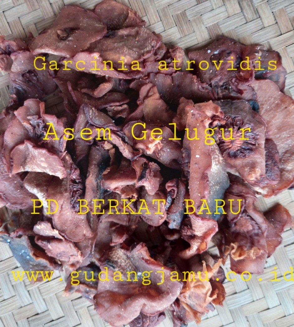 ASEM GELUGUR GARCINIA ATROVIDIS