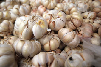 Bawang putih super