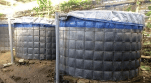 Kolam Terpal Bundar FULLSET D1.5m T1m