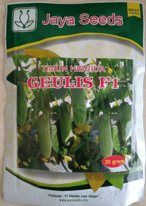 TIMUN HIBRIDA Varietas GEULIS - 100 gr
