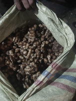 jual hasil bumi medan