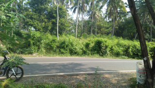 Tanah kebun SHM pinggir jalan raya pansela