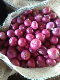 Bawang Merah Besar murahhh kwalitas super dari india