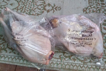 karkas ayam kalkun