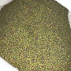 Kacang Hijau Australia
