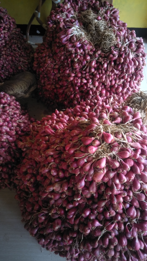 bawang merah brebes