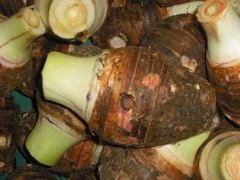 umbi/keladi