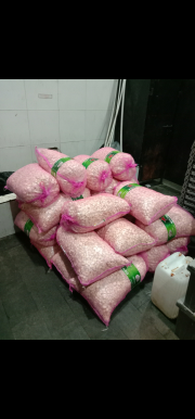 Bawang putih kupas kualitas super