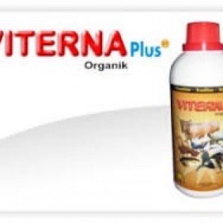 Vitamin Ternak (Viterna) Nasa