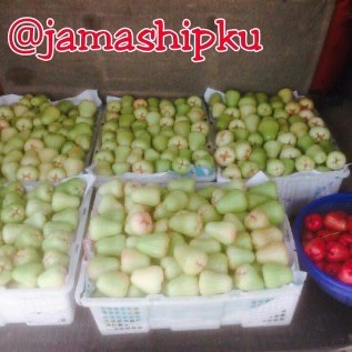 Jambu Madu