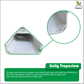 Gully Trapesium NFT
