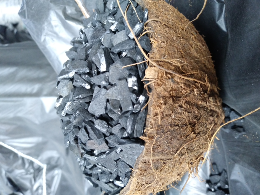 karbon aktif coconut shell