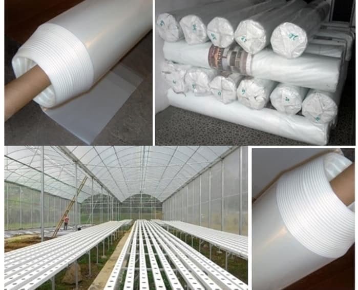 Plastik UV Green House Lebar 3 Meter Panjang 1 meter JUARA