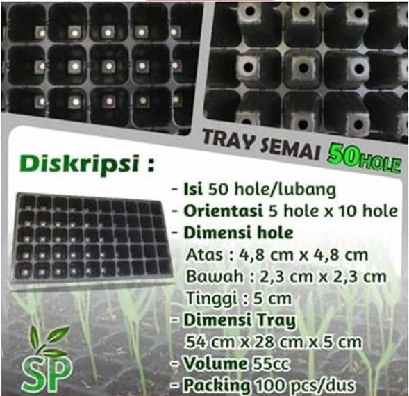 Pot Tray Semai 50 Lubang Hole / Tray Semai Benih Bibit Tanaman
