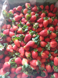 strawberry