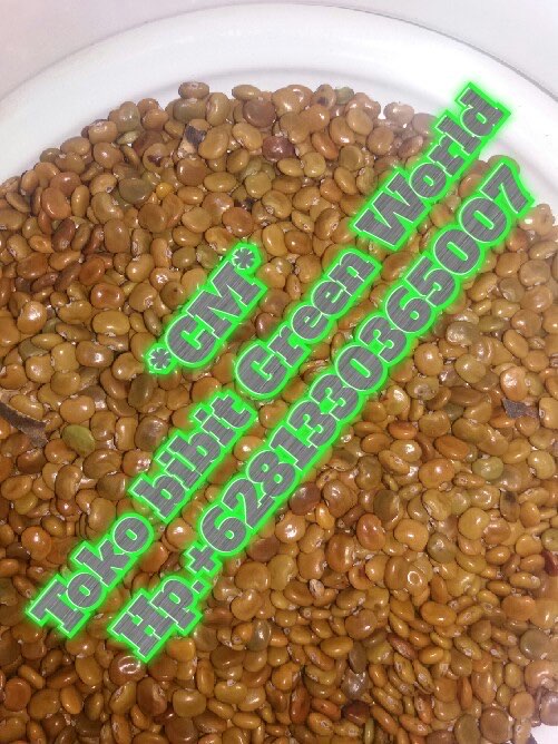 Jual biji CM , CP , CC , PJ