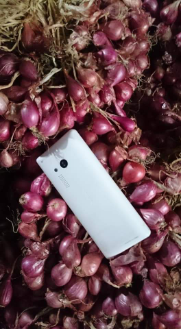 bawang brbang khas nganjuk