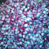 Bawang merah kupas