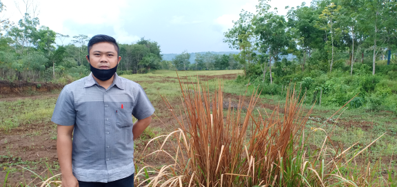 Perkebunan