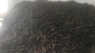 jual kopra,kelapa,arang