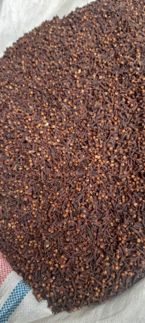 Cengkeh