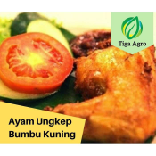 AYAM UNGKEP BUMBU KUNING AYAM GORENG AYAM PENYET AYAM GEPUK PECEL LELE