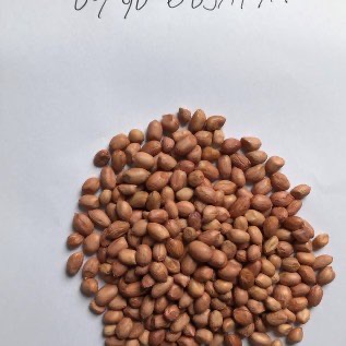 kacang tanah 80/90