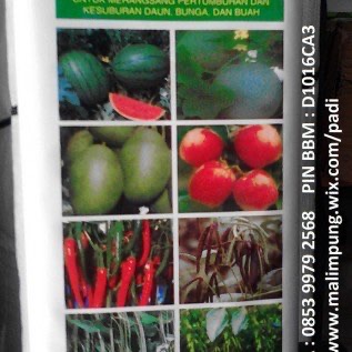 PUPUK SUPER FOLRA MAKASSAR
