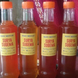 Jual Madu Hutan Asli