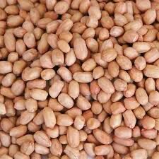 kacang tanah madura