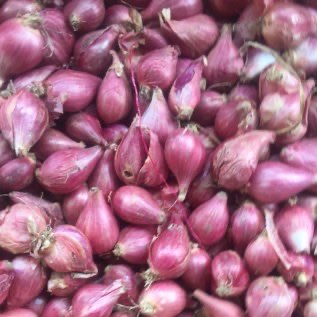 Bawang Merah Brebes 