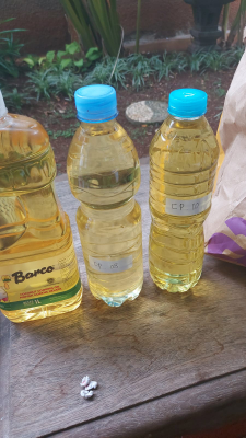 Minyak Goreng kemasan dan Curah