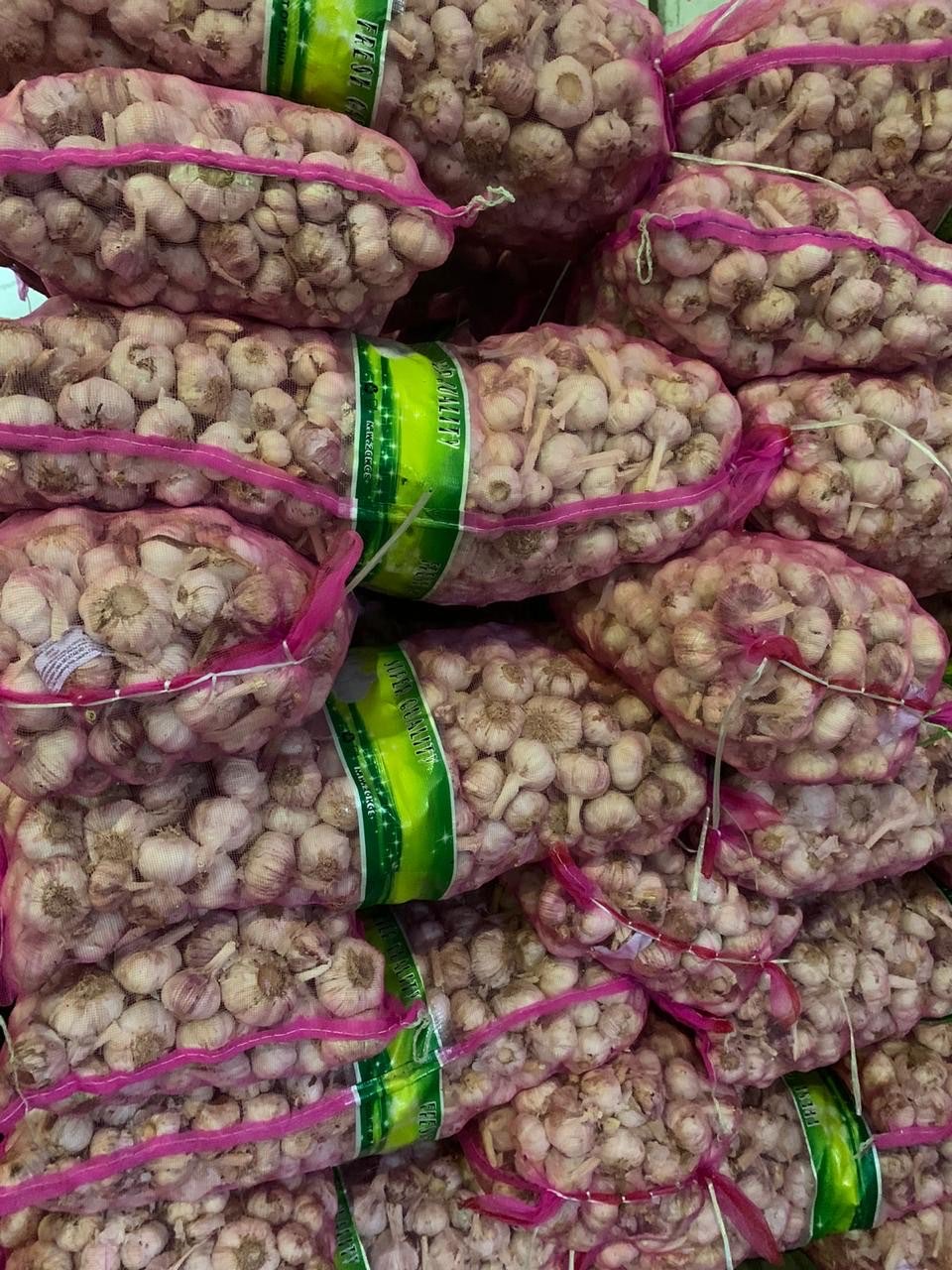 Bawang Putih Honan/Banci