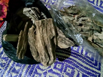 kayu gaharu