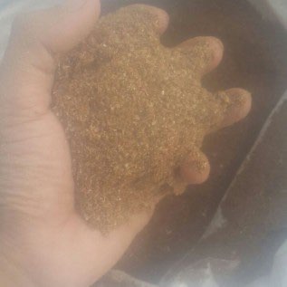 tepung kepala udang