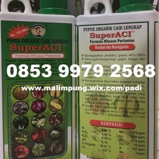 PUPUK SUPER ACI MAMUJU.