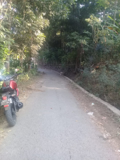 Dijual Tanah Kebun Murah