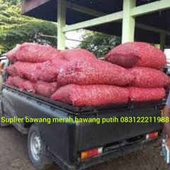 Bawang Merah